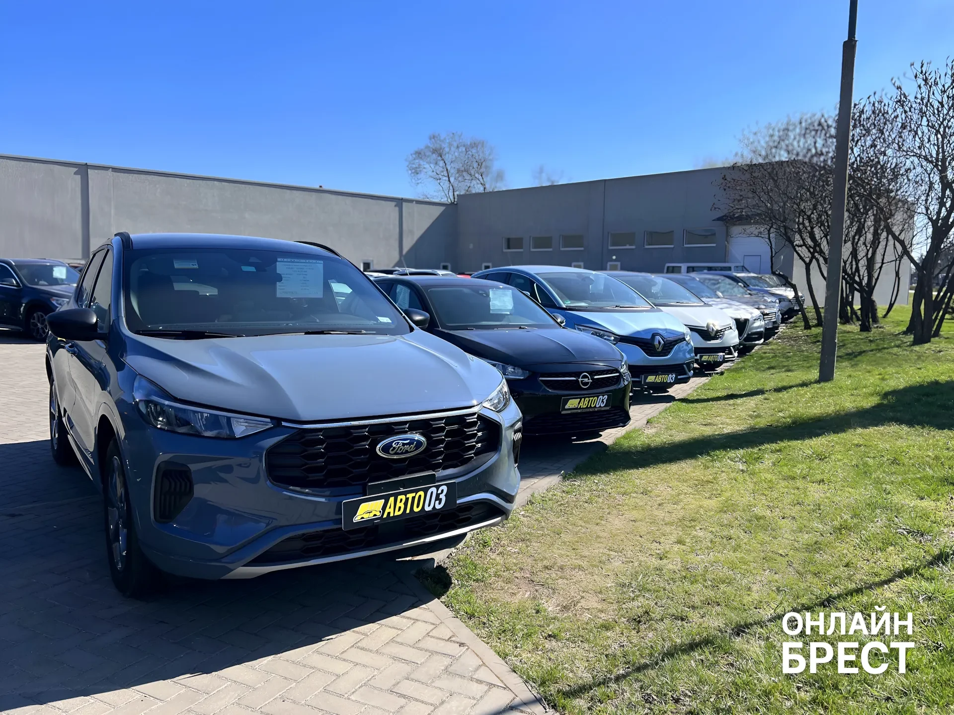 От фейерверков до площадки по продаже и выкупу автомобилей в Бресте. История Владимира