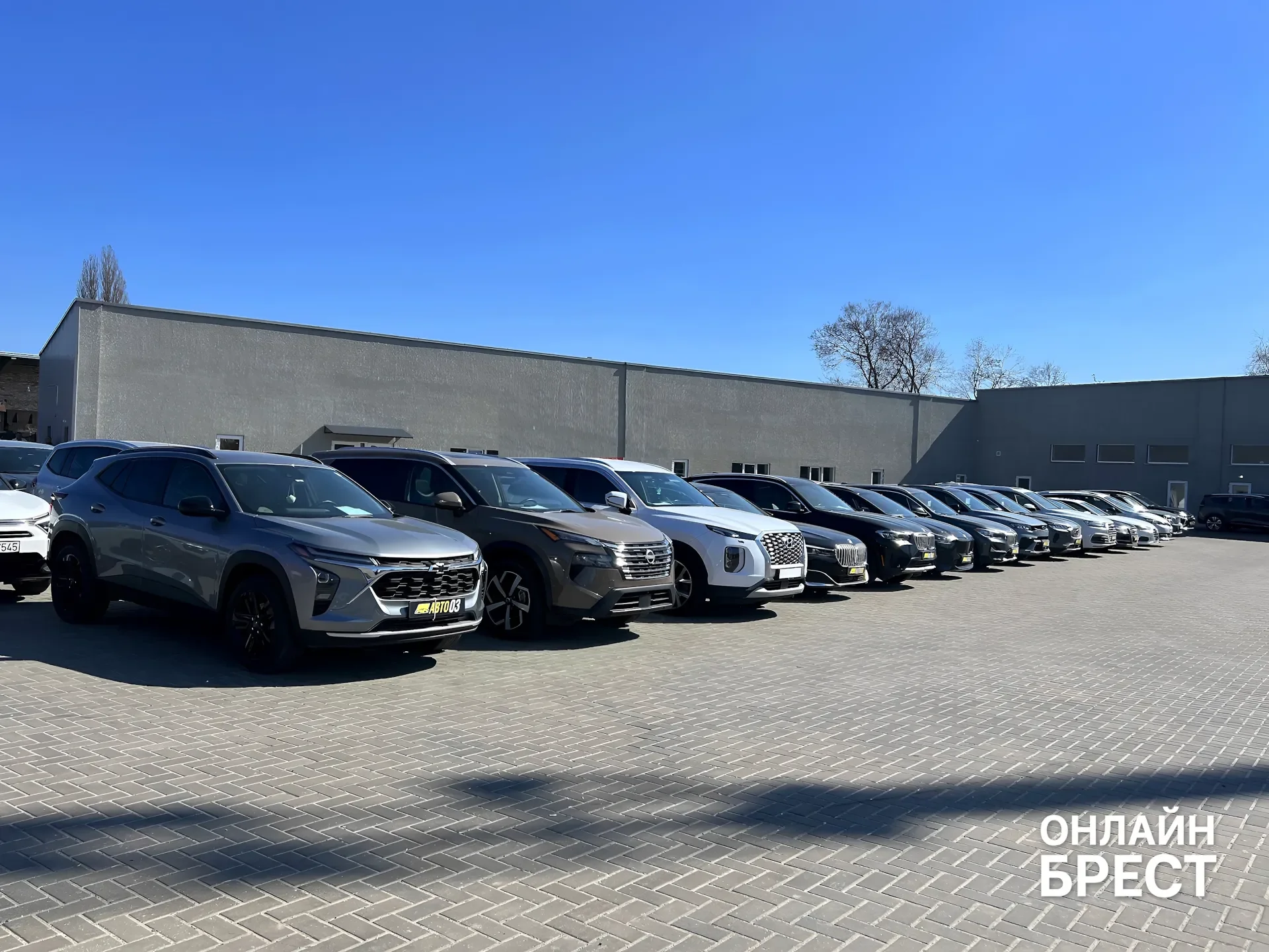 От фейерверков до площадки по продаже и выкупу автомобилей в Бресте. История Владимира