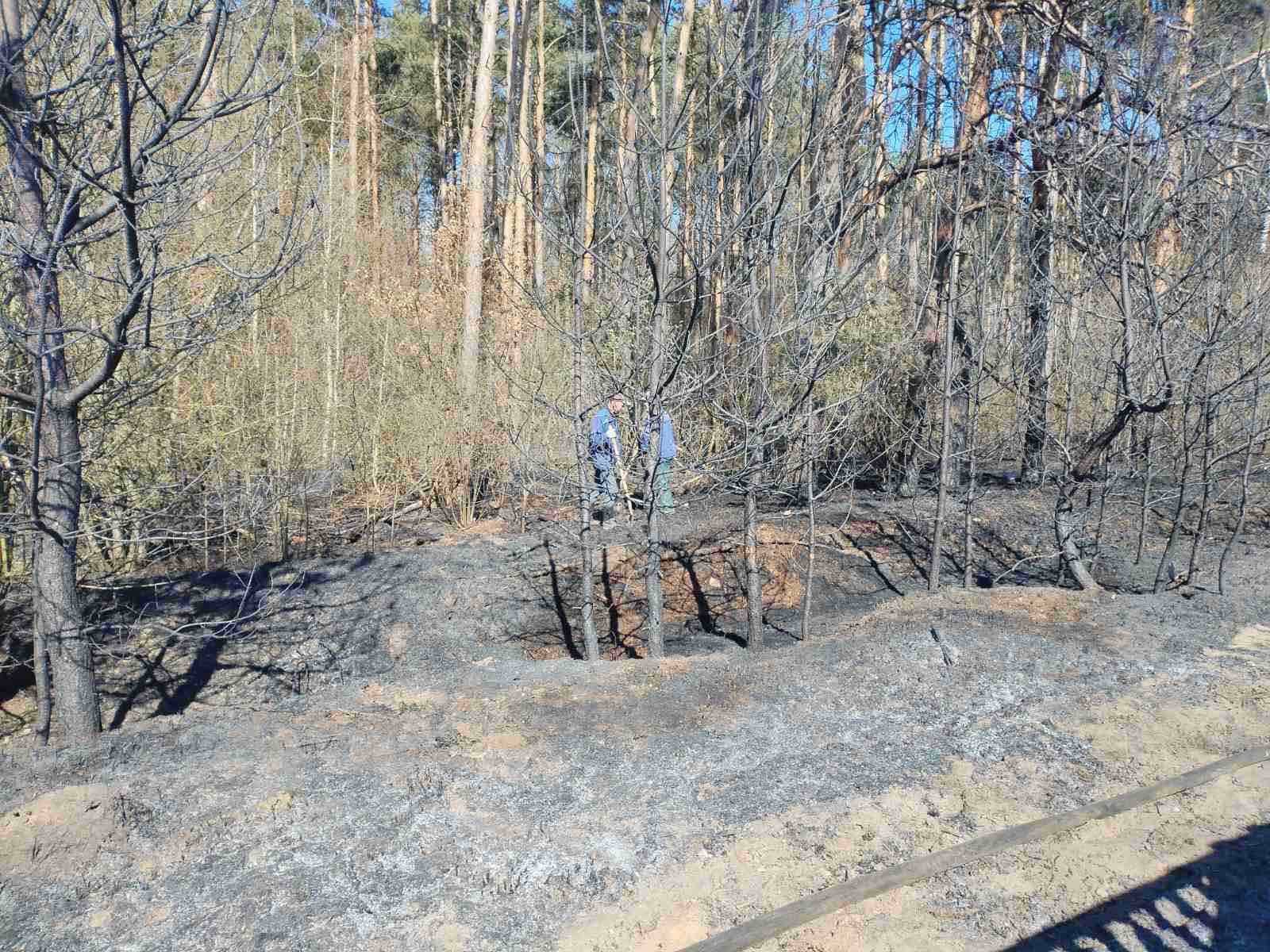 Большой беды удалось избежать: что вчера горело около Северного кладбища в Бресте