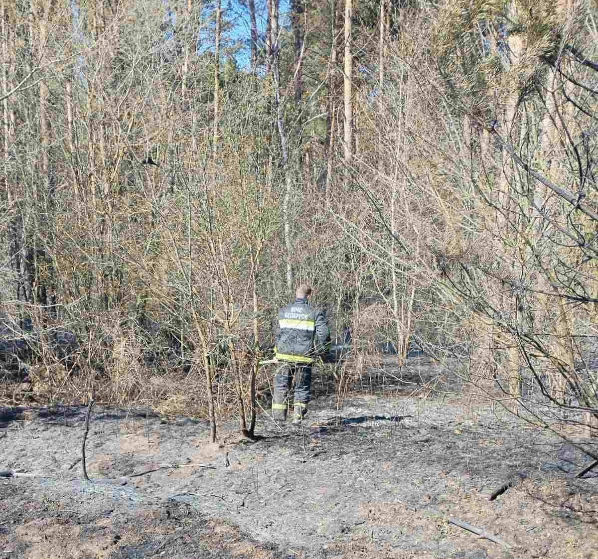 Большой беды удалось избежать: что вчера горело около Северного кладбища в Бресте
