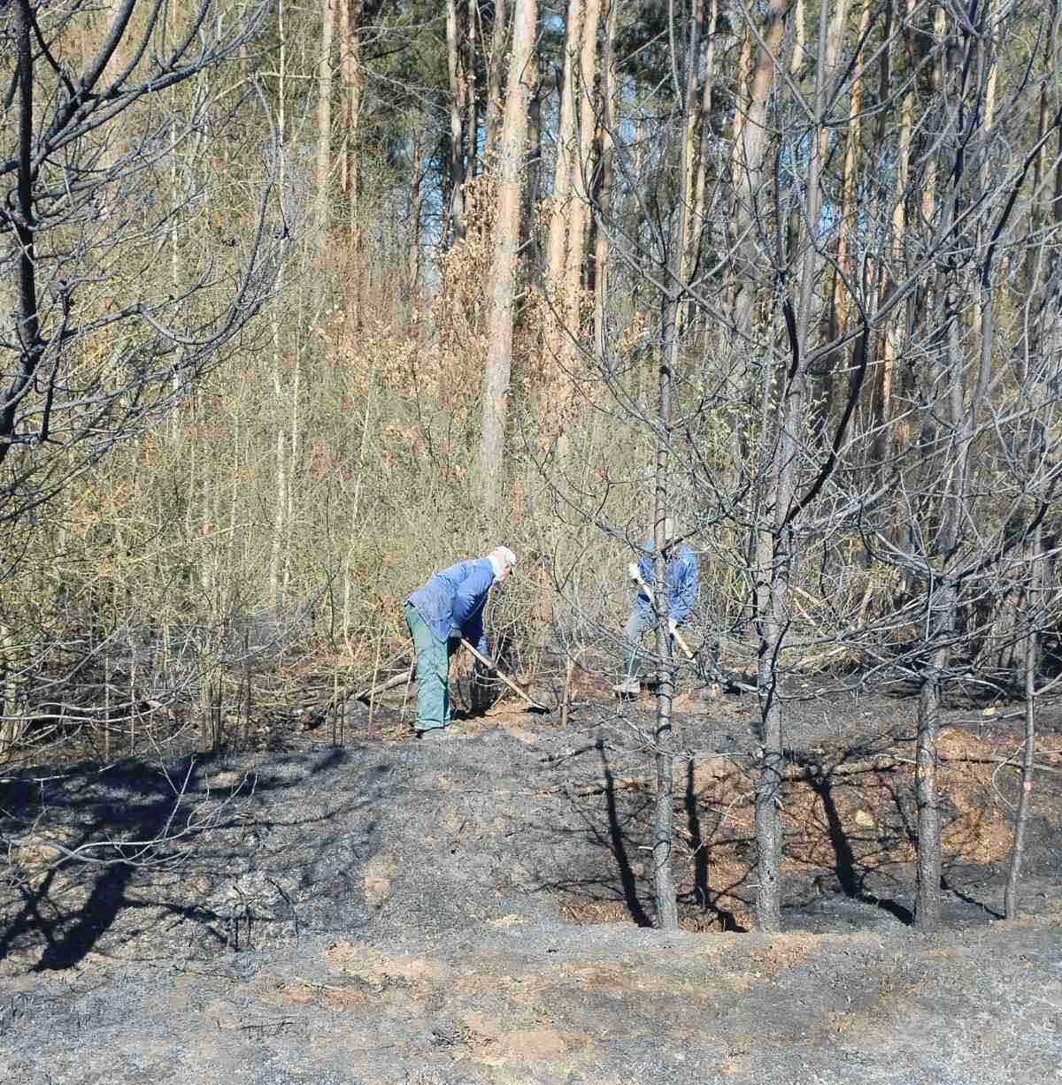 Большой беды удалось избежать: что вчера горело около Северного кладбища в Бресте