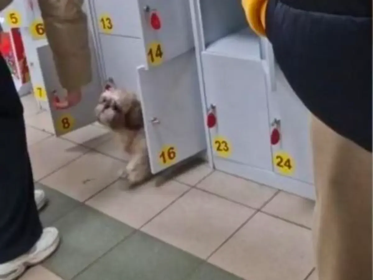 В Витебске собаку заперли в камере хранения