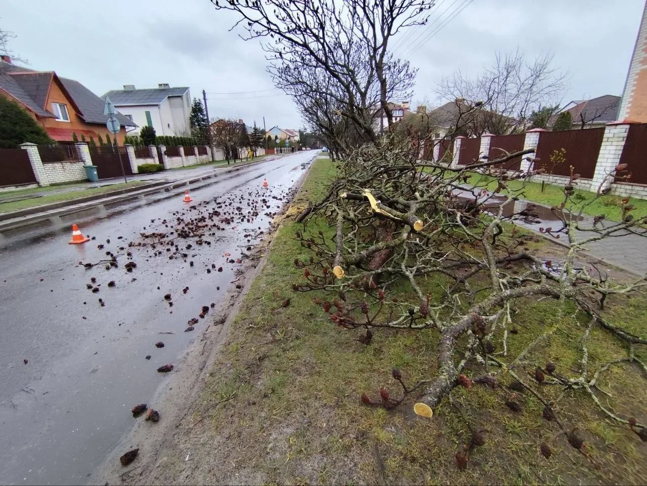 Что натворила непогода вчера в Бресте