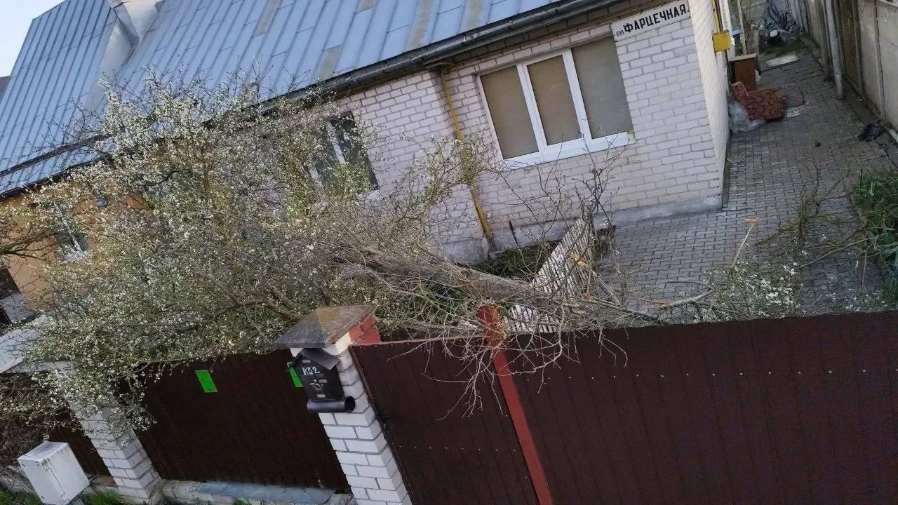 Что натворила непогода вчера в Бресте