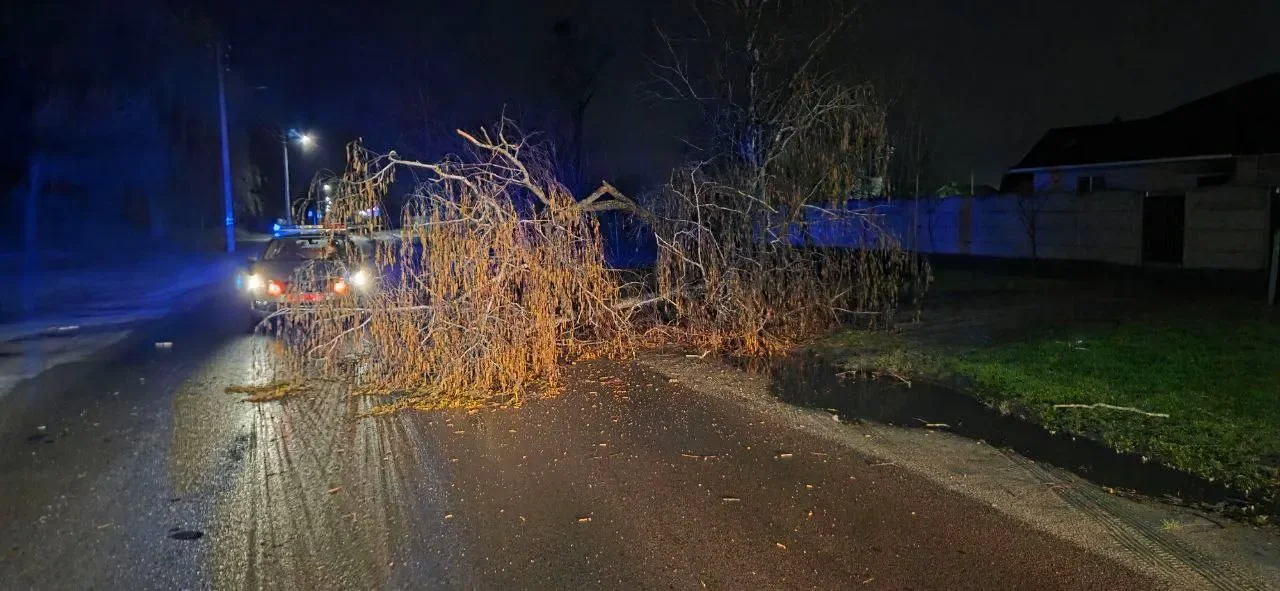 Что натворила непогода вчера в Бресте