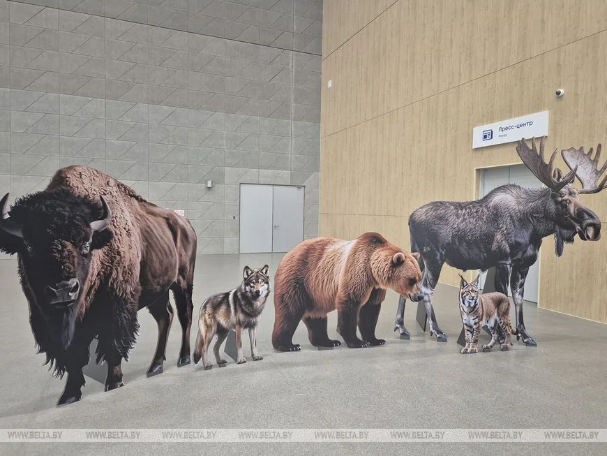 В Беловежской пуще готовят новинки для туристов — подробности