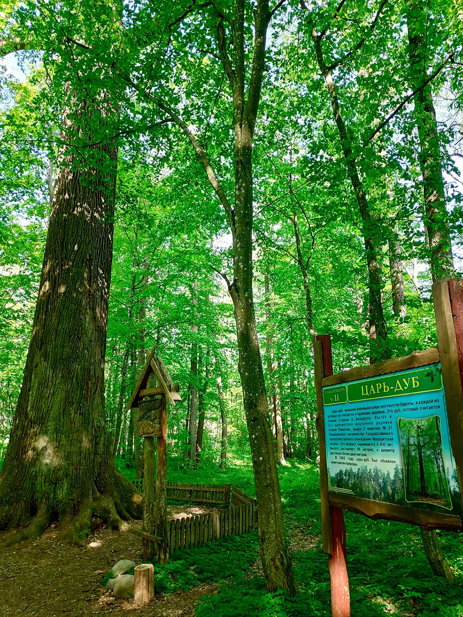 9 фактов о Беларуси, которые вас точно удивят