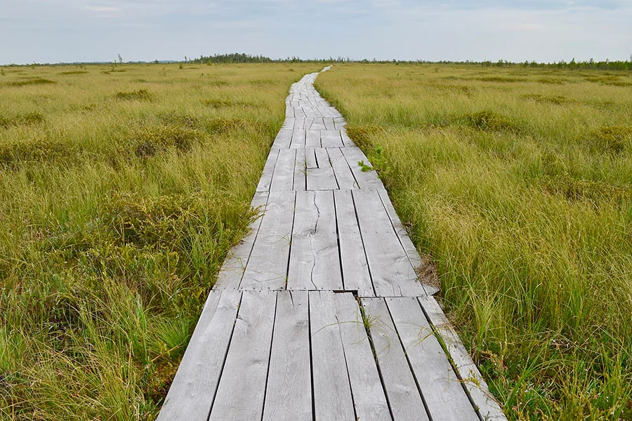 9 фактов о Беларуси, которые вас точно удивят