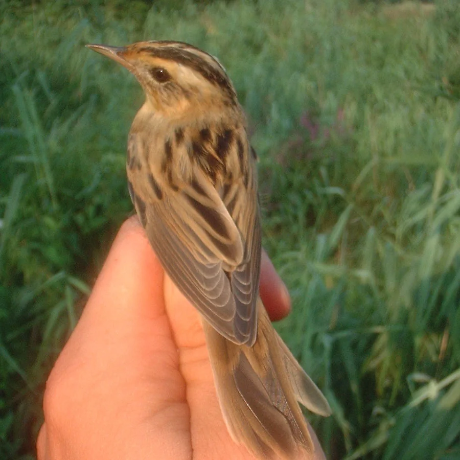 9 фактов о Беларуси, которые вас точно удивят