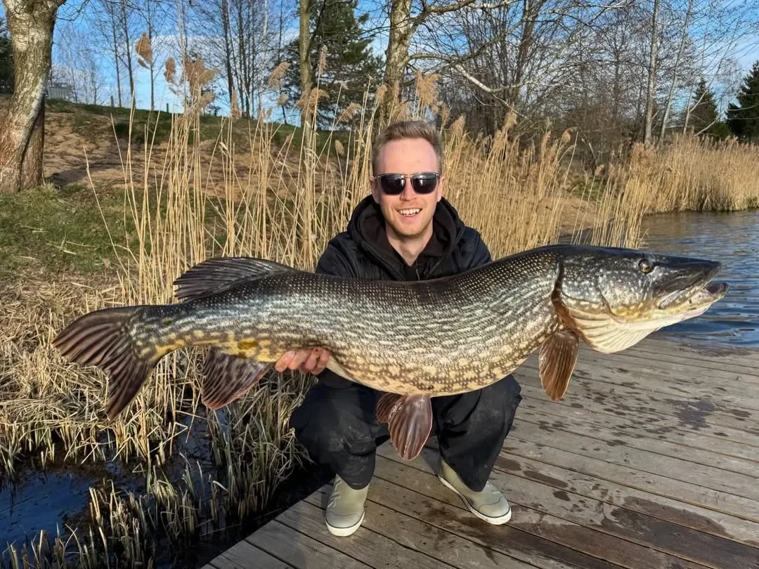 В Беларуси рыбак вытащил огромную щуку