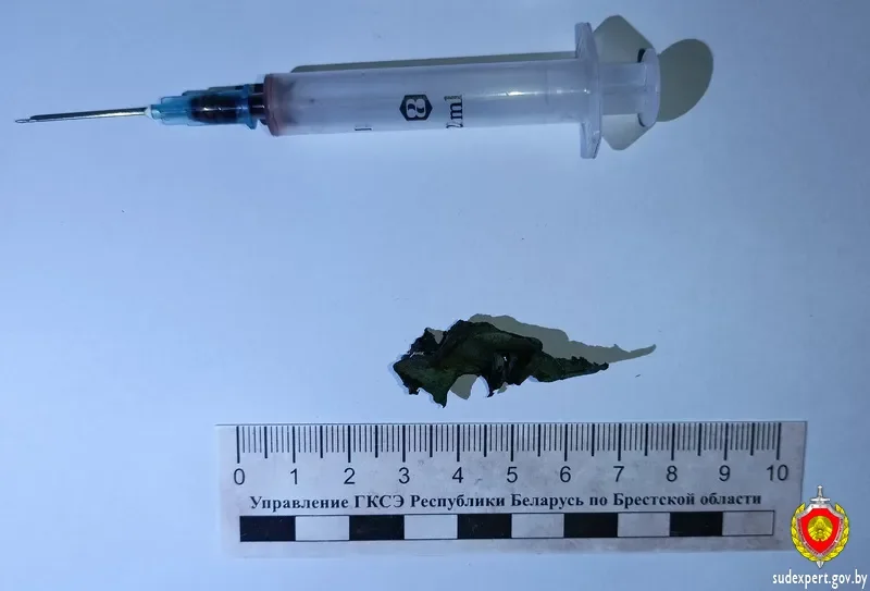 В Бресте нашли тело 18-летней девушки — что известно