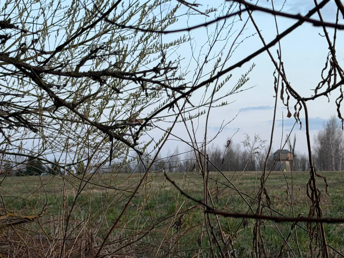 Крушение мотодельтаплана под Минском: что известно о гибели пилота и его пассажирки