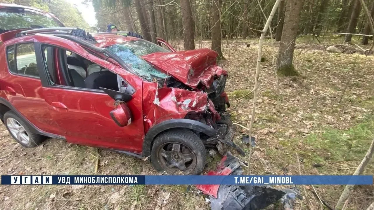 В Беларуси косуля выбежала на дорогу — водитель Renault выехал на встречку и погиб