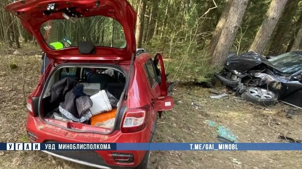 В Беларуси косуля выбежала на дорогу — водитель Renault выехал на встречку и погиб