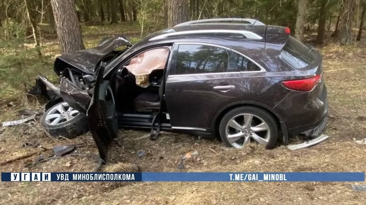 В Беларуси косуля выбежала на дорогу — водитель Renault выехал на встречку и погиб