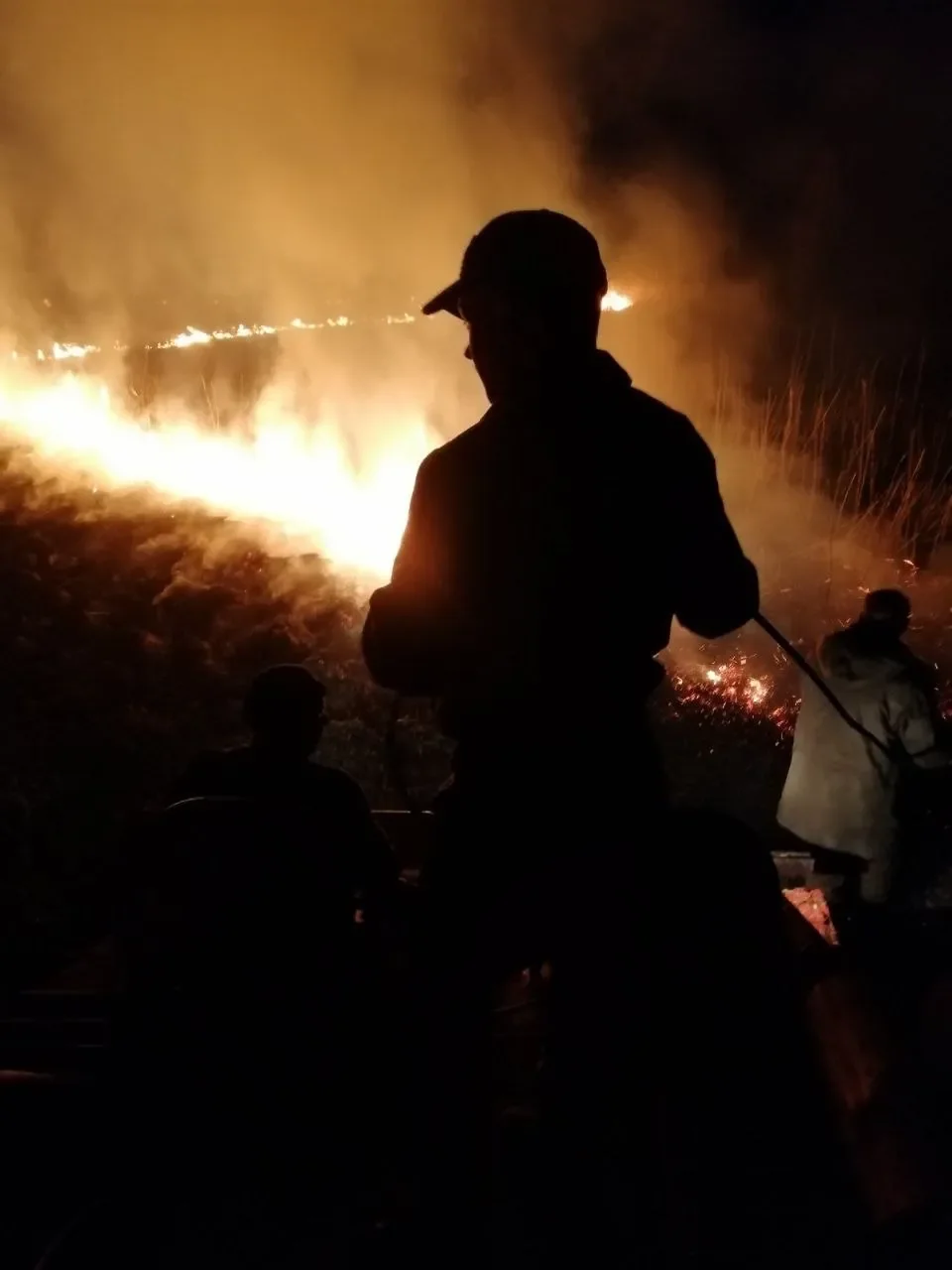 В Столинском районе 8 часов тушили пожар — и подозревают поджог
