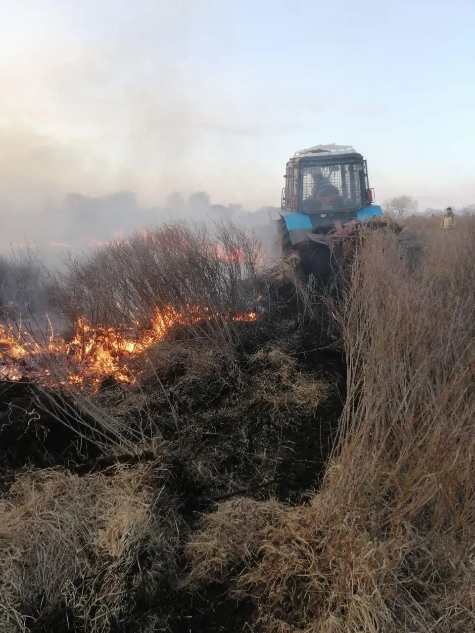 В Столинском районе 8 часов тушили пожар — и подозревают поджог