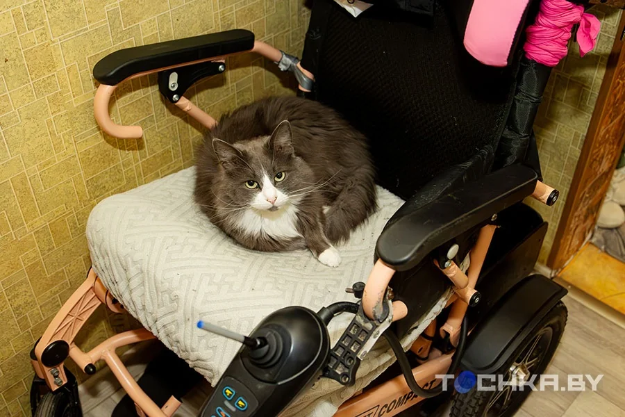 Живёт на ИВЛ, работает через телефон — и получает отказ за отказом. История белоруски