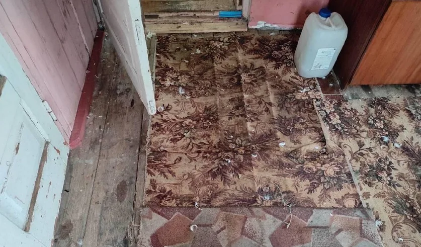 Приехал в гости, выпил — и убил хозяина. Потом сутки жил в доме с телом и отвечал на звонки его матери