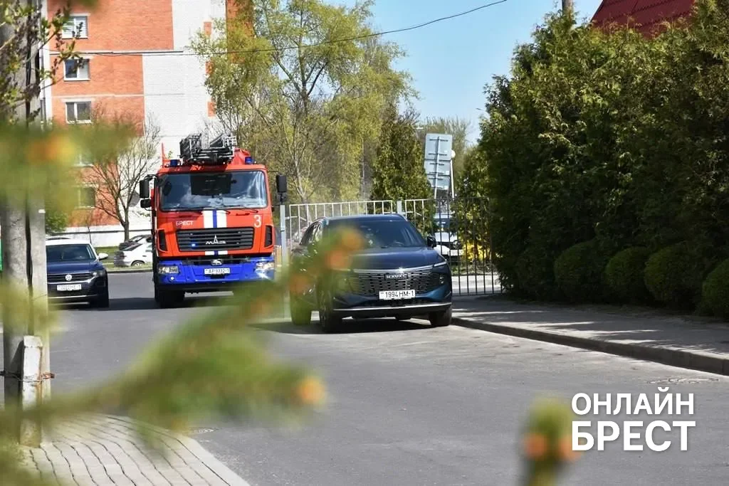 Пожар на 9-м этаже и взрыв в подвале: спасатели провели учения в Бресте