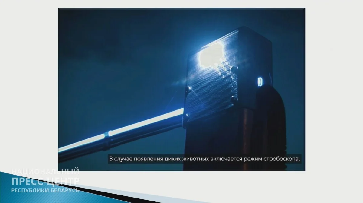 ГАИ объяснила, как работает табло, которое показывает номера нарушителей