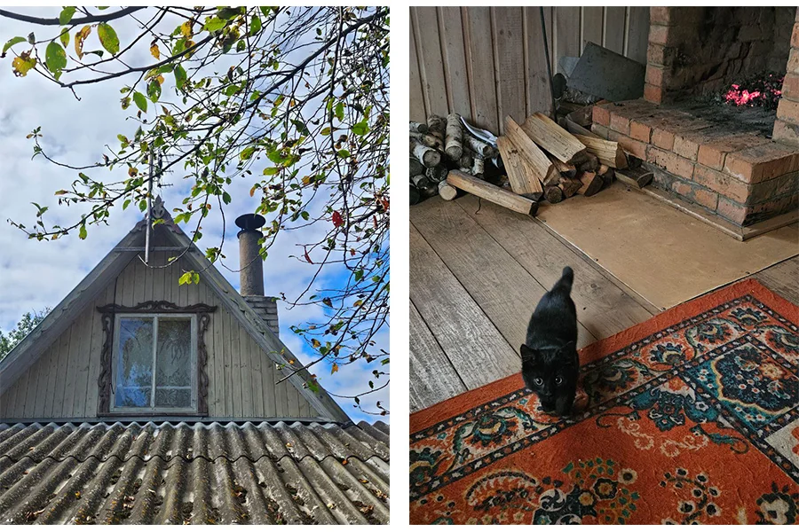 Белоруска бросила офис и уехала в лесной домик без печки — и не пожалела