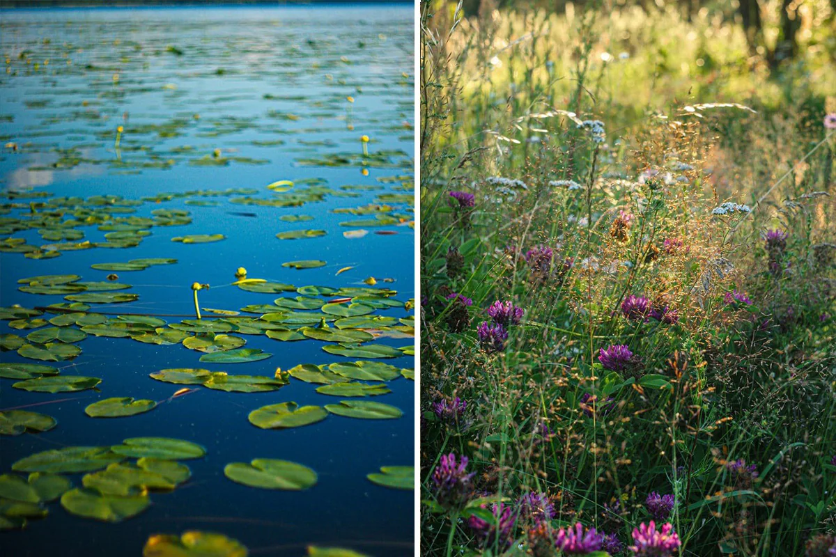 Белоруска бросила офис и уехала в лесной домик без печки — и не пожалела