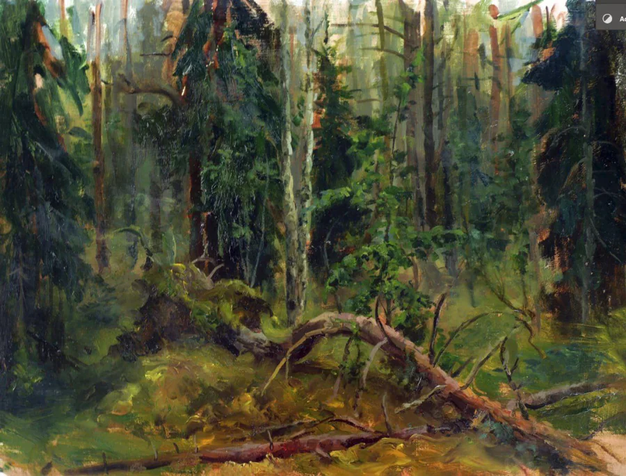 Белоруска бросила офис и уехала в лесной домик без печки — и не пожалела