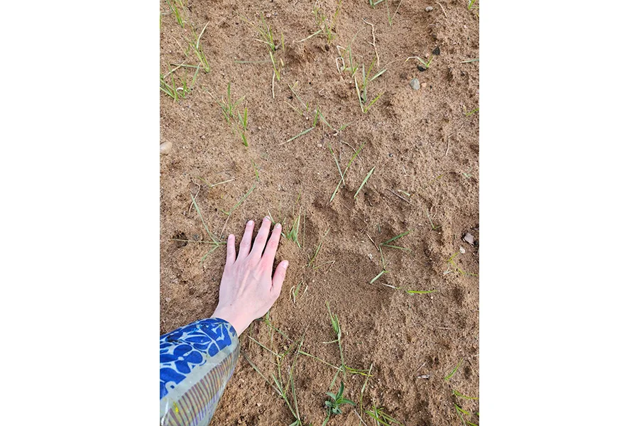 Белоруска бросила офис и уехала в лесной домик без печки — и не пожалела