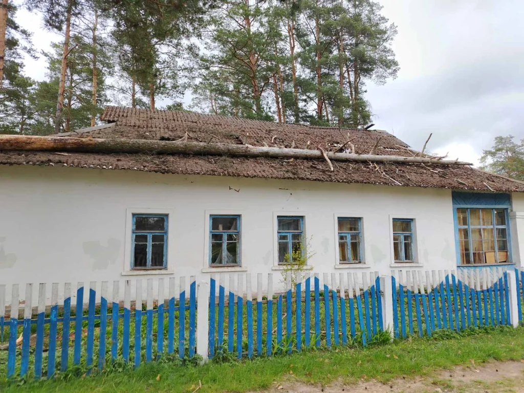 «Сюрприз» от непогоды: в Беларуси дерево рухнуло прямо на Ford