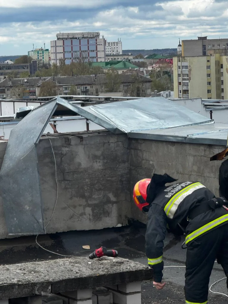 «Сюрприз» от непогоды: в Беларуси дерево рухнуло прямо на Ford