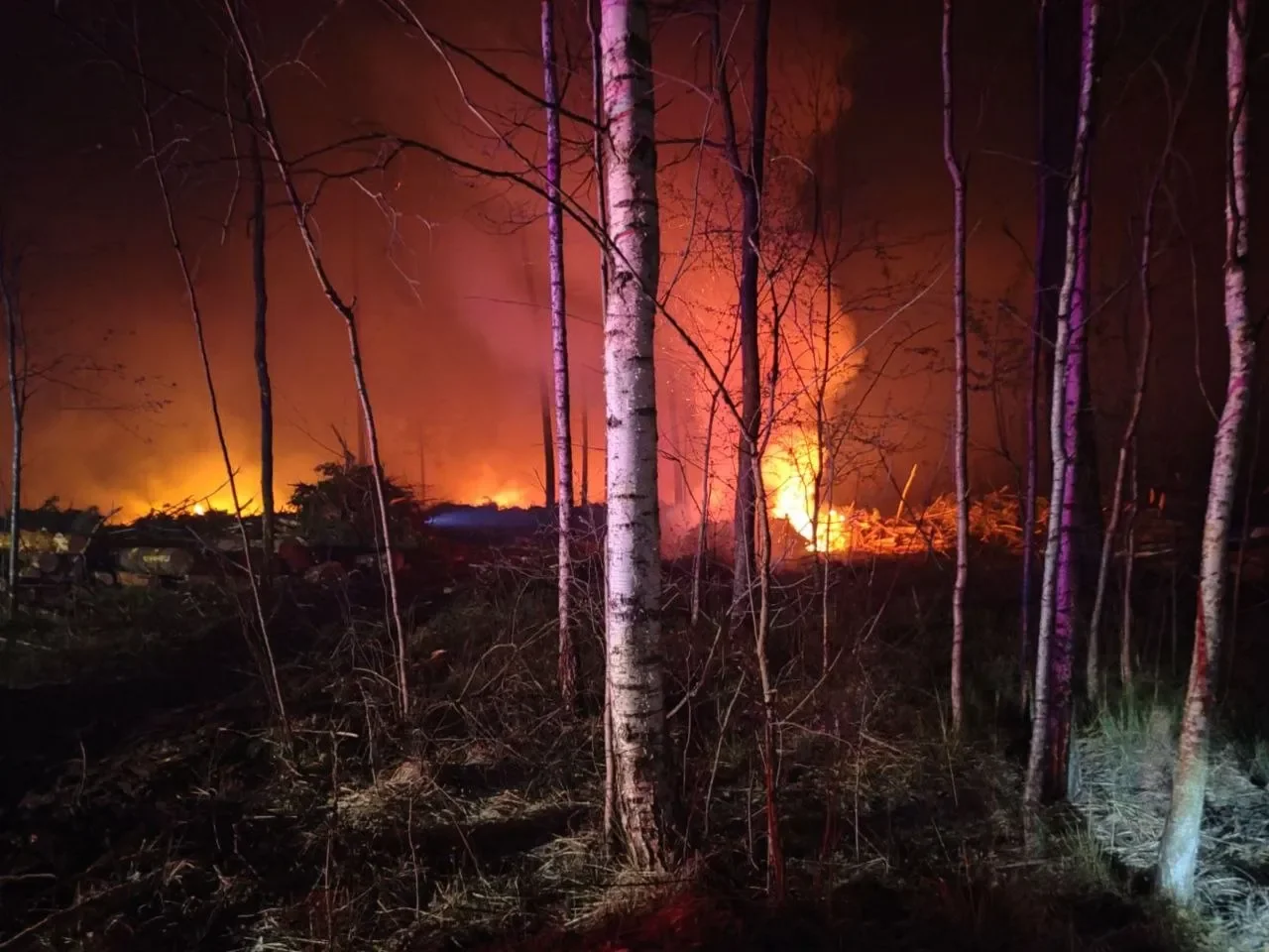 Это было непростое испытание: лесной пожар в Пинском районе — в фотографиях