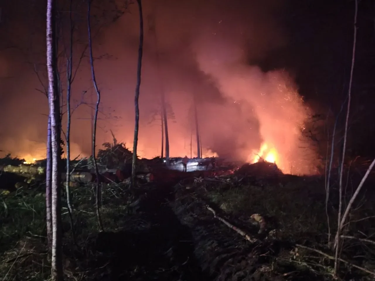 Это было непростое испытание: лесной пожар в Пинском районе — в фотографиях
