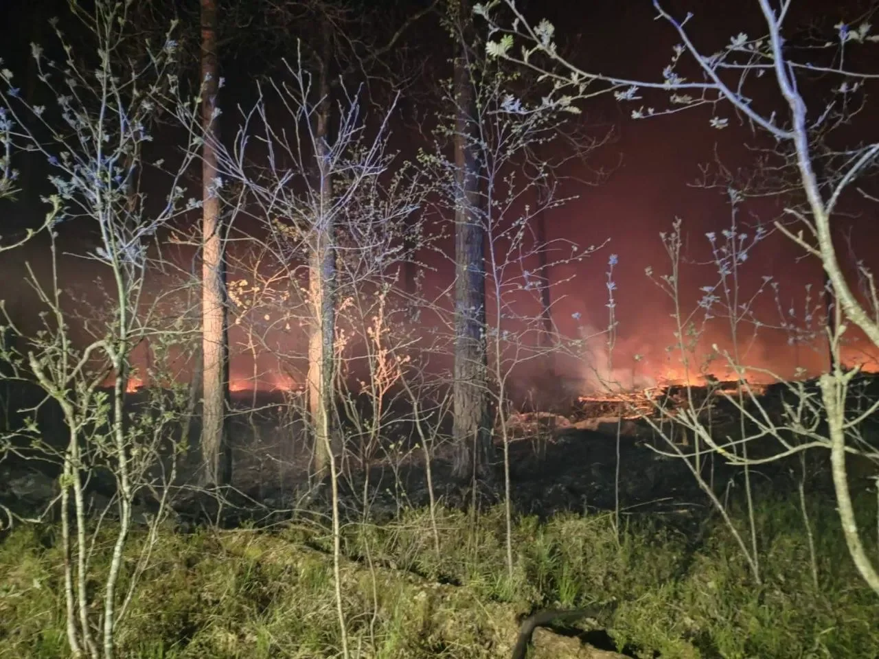 Это было непростое испытание: лесной пожар в Пинском районе — в фотографиях
