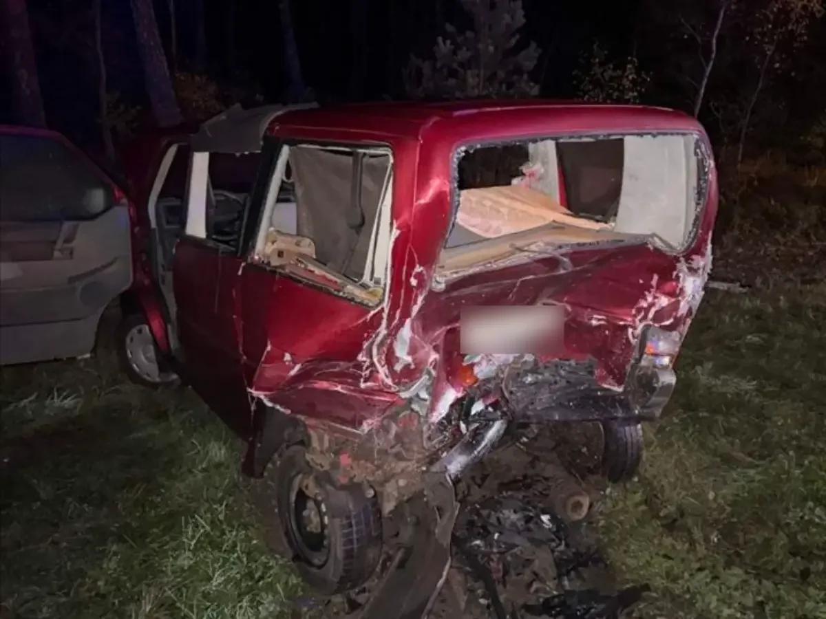 Женщина после ДТП на М1 не может передвигаться и двигать рукой. Виновный получил приговор