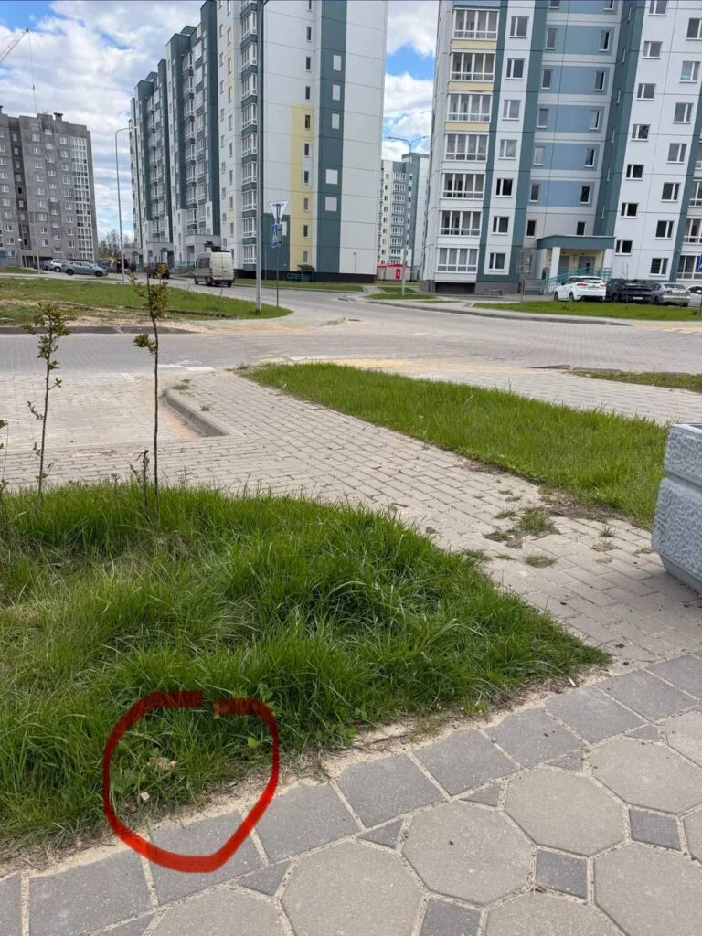 Молодая мама с коляской нашла во дворе «мармеладку» — и содрогнулась от того, что внутри