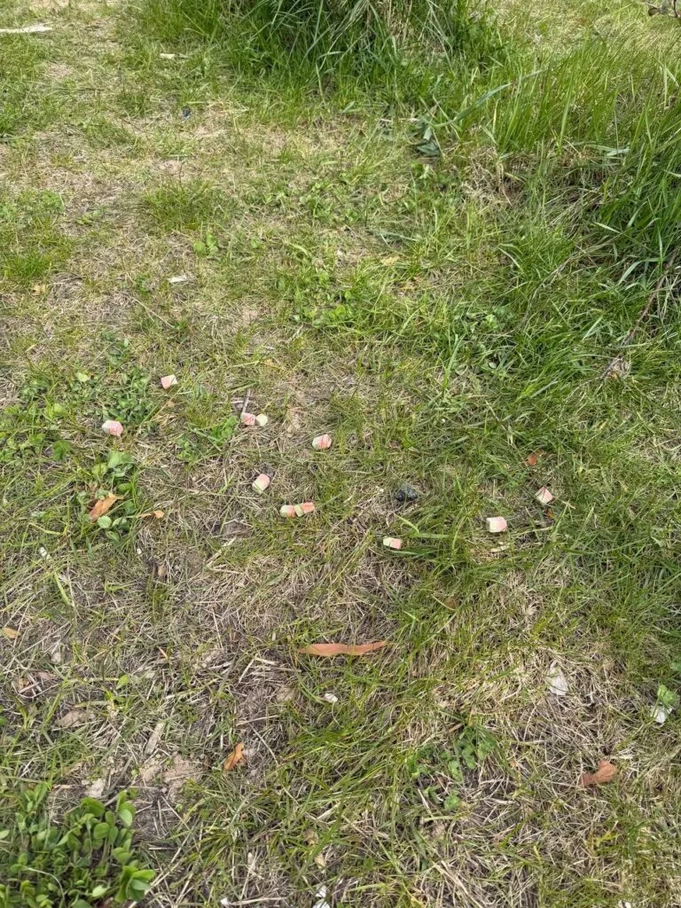 Молодая мама с коляской нашла во дворе «мармеладку» — и содрогнулась от того, что внутри