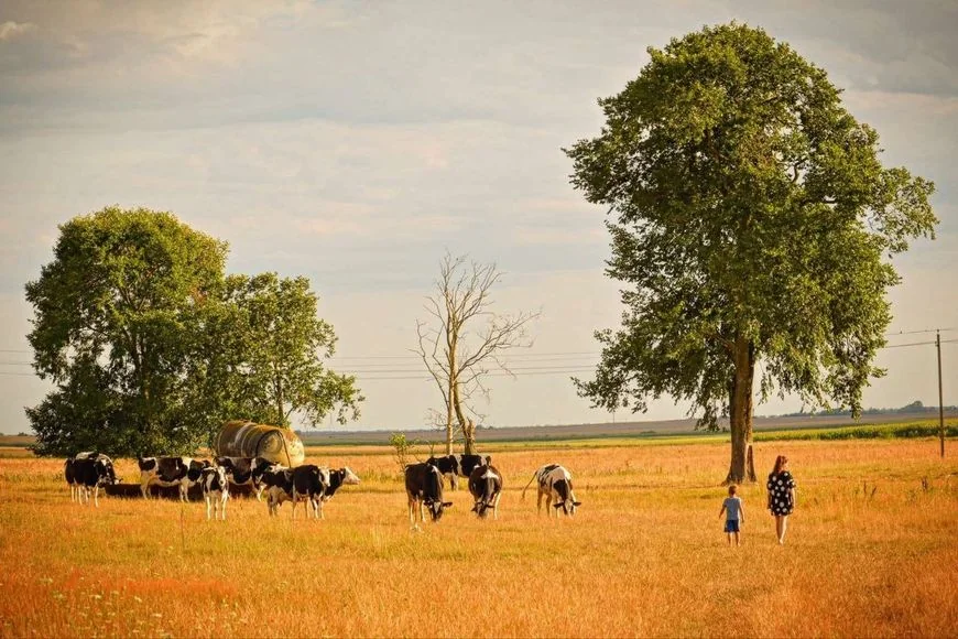 Повар мишленовского ресторана из Таллина переехал в белорусскую деревню — и не жалеет