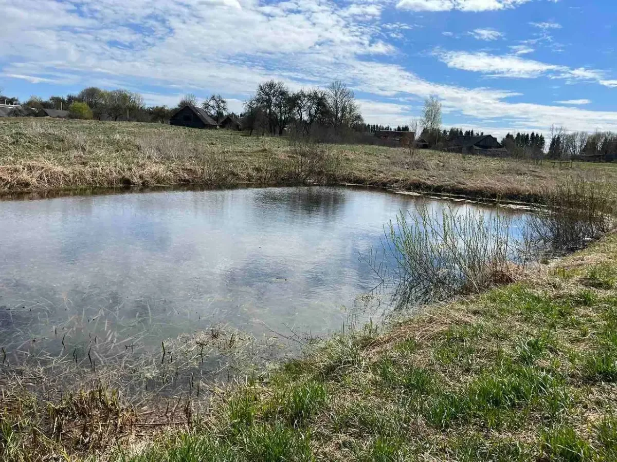 Мать отвлеклась на уборку — и через окно увидела дочь в воде лицом вниз