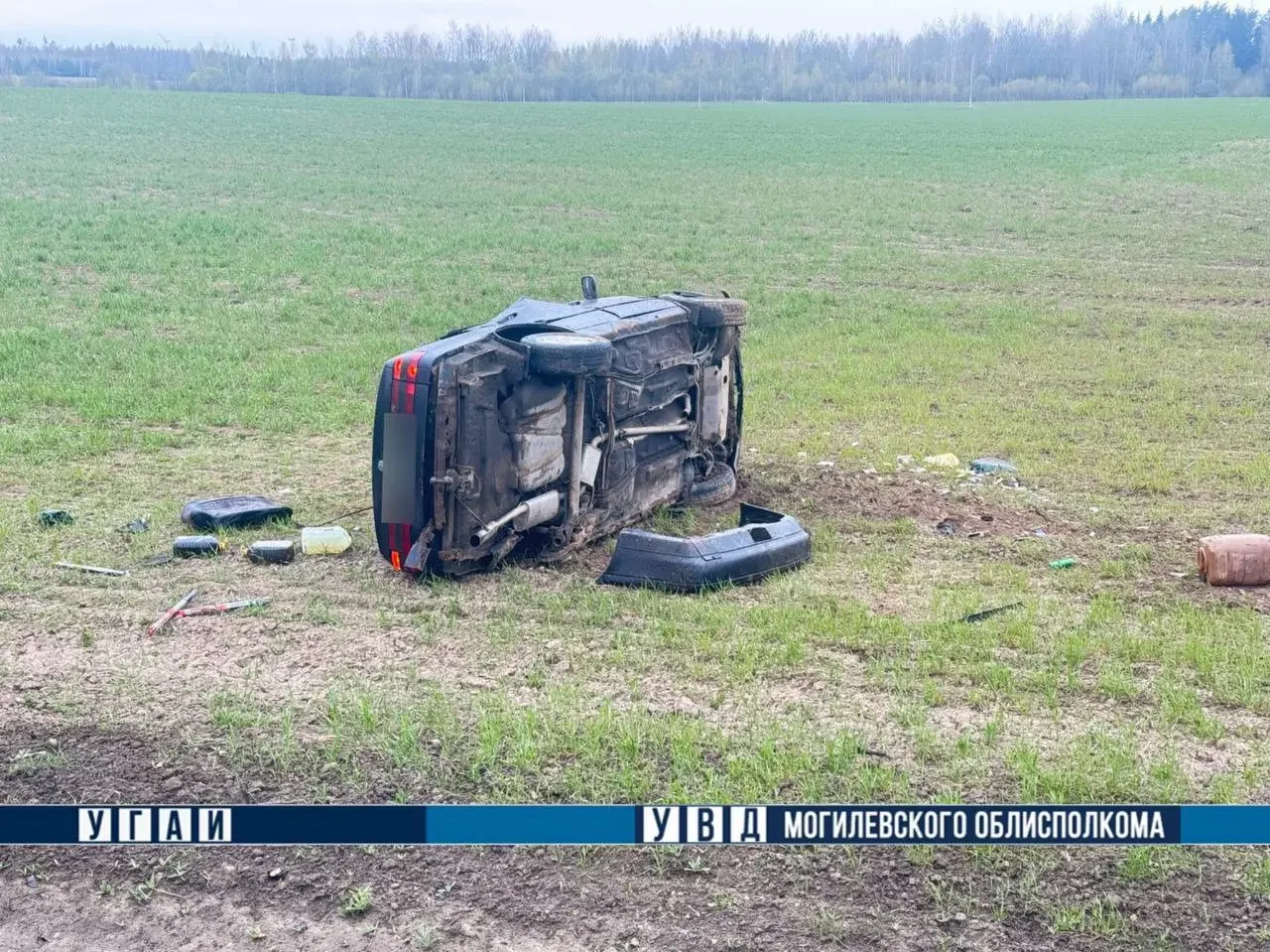 Под Могилёвом Volkswagen врезался в лося — трое в больнице