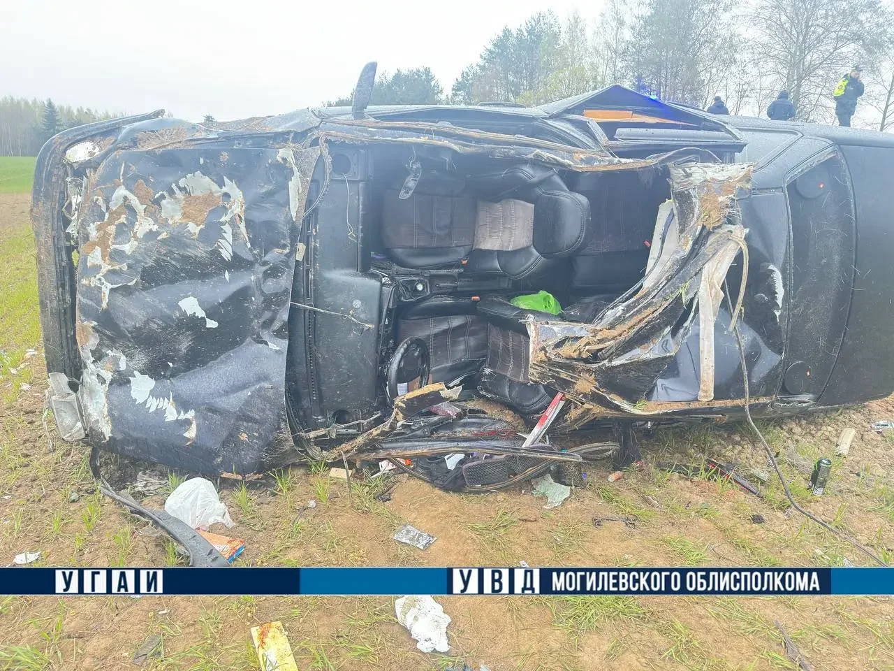 Под Могилёвом Volkswagen врезался в лося — трое в больнице