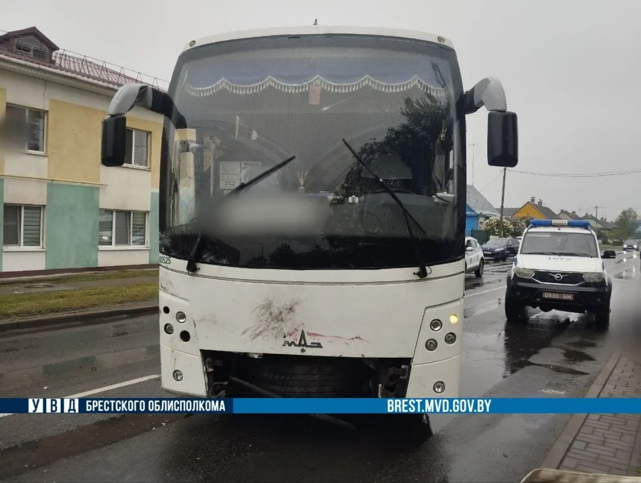 В Столине водитель Peugeot решила развернуться — и попала под рейсовый автобус