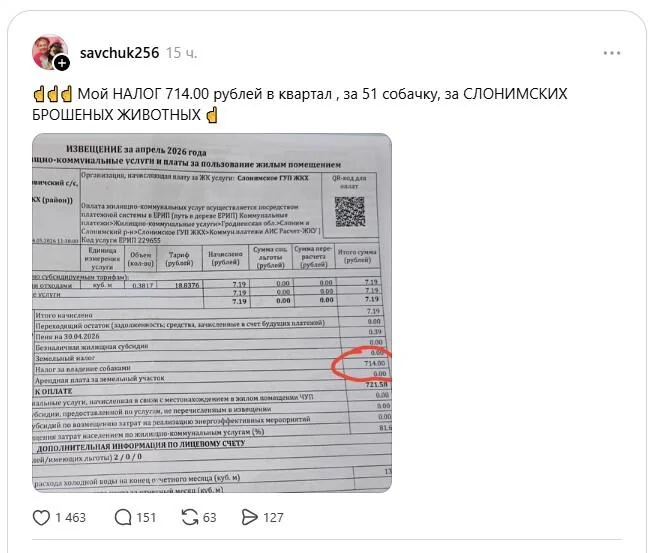 Белоруске выставили счёт на 714 рублей за собак — почему так вышло