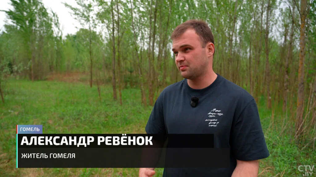 В Гомеле бездомные собаки напали на 11-летнюю девочку — два часа врачи боролись за её жизнь