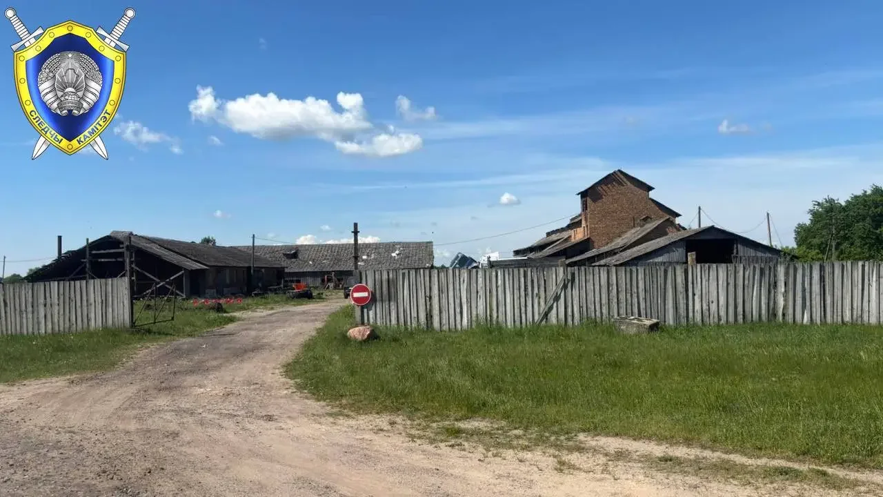 В Беларуси отец случайно выстрелил в сына на забое кабана — возбуждено уголовное дело