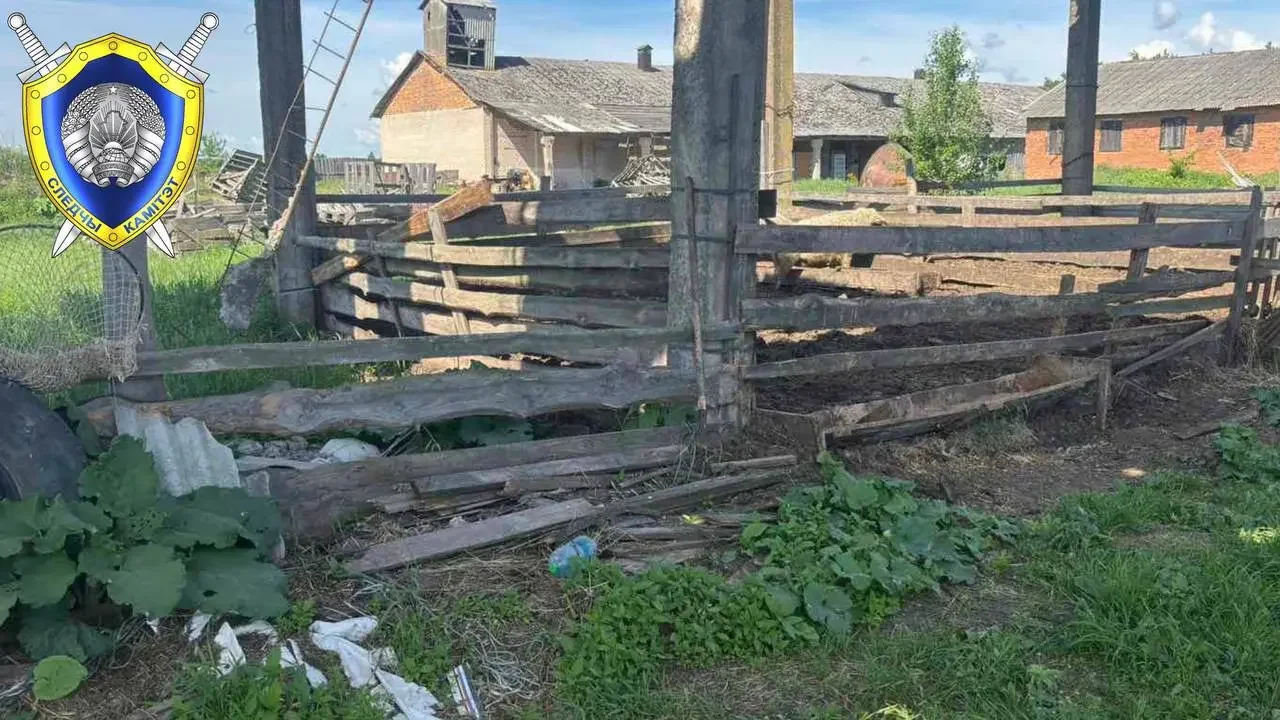 В Беларуси отец случайно выстрелил в сына на забое кабана — возбуждено уголовное дело