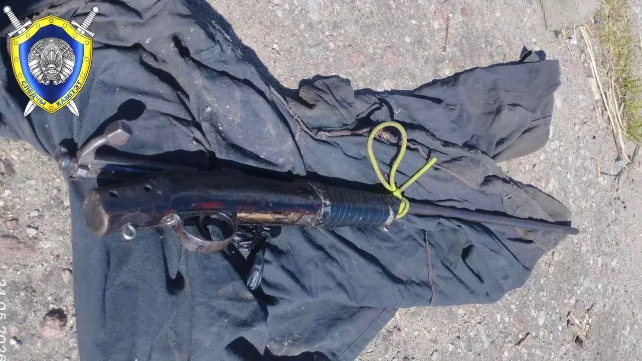 В Беларуси отец случайно выстрелил в сына на забое кабана — возбуждено уголовное дело
