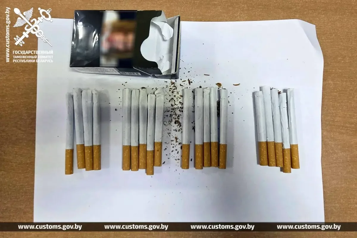 Служебная собака на брестской таможне учуяла то, что спрятал мужчина