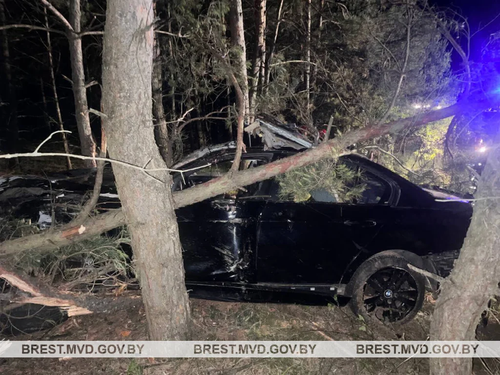На трассе М1 водитель сбил лося и врезался в деревья — погибла женщина