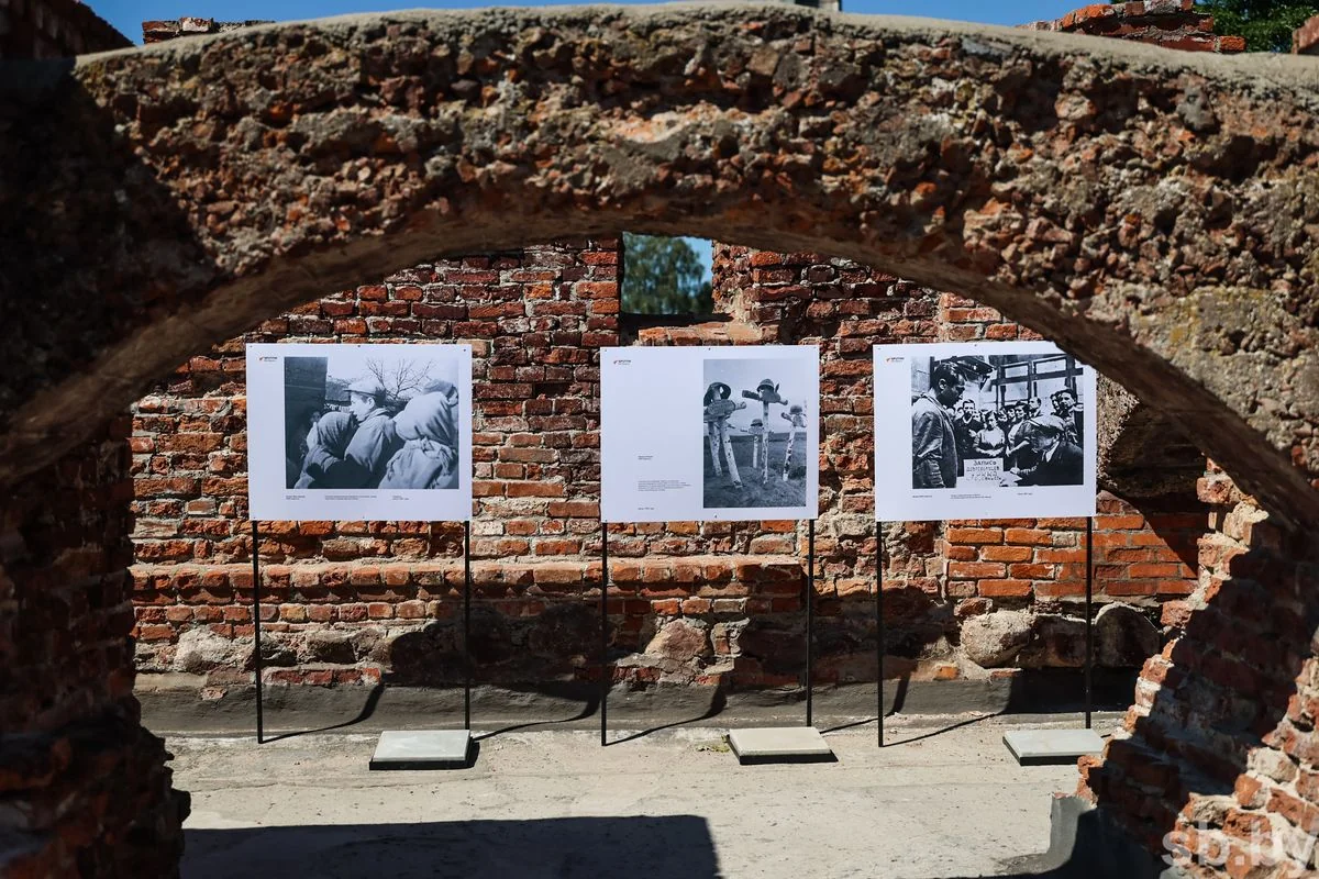 В руинах Белого дворца Брестской крепости открылась фотовыставка